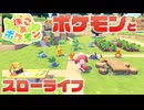ポケモンとのスローライフを楽しみたい。【ぽこあポケモン】