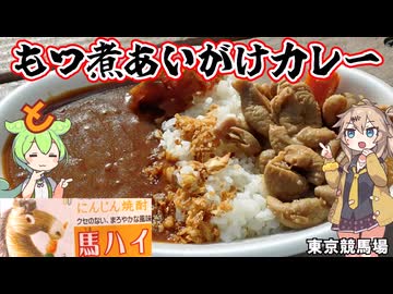 庵のもつ煮あいがけカレーとにんじん焼酎「珍」の馬ハイ ホースショーもあるよ 東京競馬場