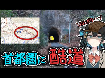 【国道410号】首都圏にある酷道に行ってみた【VOICEPEAK車載】