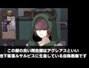 【Diemi】おまけ迷宮で攻撃禁止まとめ【ネタバレ注意】