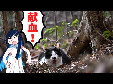 はじめて献血会場に行ってきました！