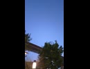 花粉の中を立川駅まで歩く：I walk through the pollen to Tachikawa Station
