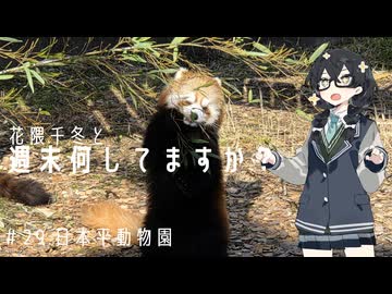 【自転車車載】花隈千冬と週末何してますか？　＃29　日本平動物園
