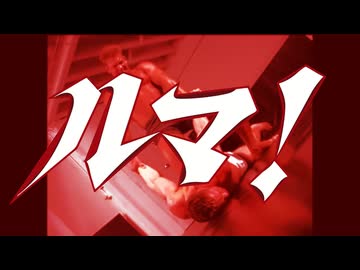 よくわからないままルマをやらされる兄貴