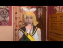 炉心融解 (1年後にカバーされた) / 歌ってみた