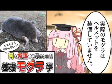 【コント】何も解説する気がない！基礎モグラ学
