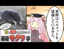 【コント】何も解説する気がない！基礎モグラ学
