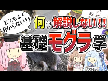 【コント】何も解説しない！基礎モグラ学