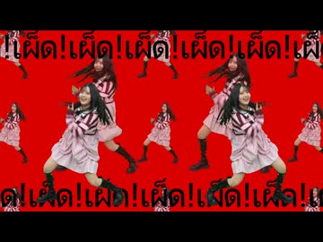 【踊ってみた】タイ日清食品×初音ミク CM【音無あふ】