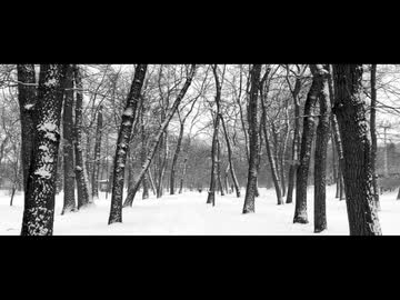 Se - 雪の黙 feat.初音ミク