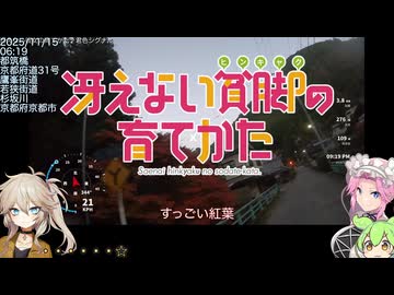 【自転車車載】丹波広域基幹林道RTA1【リハビリ】