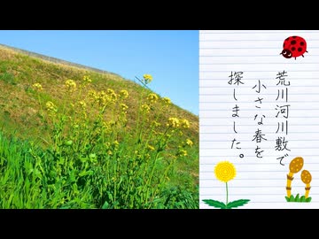 【2026年春の特別企画】荒川河川敷で小さな春を探した（第６話）