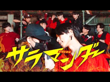 【アツい男たちが】サラマンダー【歌って踊ってみた】