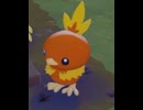 【ぽこあポケモン】アチャモとの出会い 粘土を渡してレンガを作ってもらう