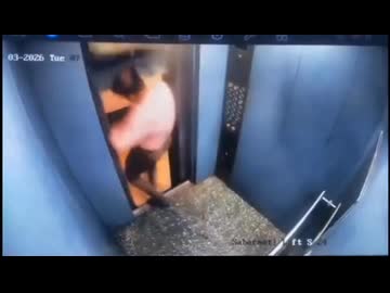 世界の衝撃的映像集Part235