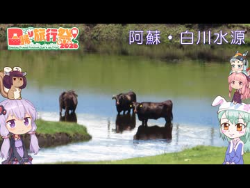 ノウサギはさるきたい　その16　白川水源