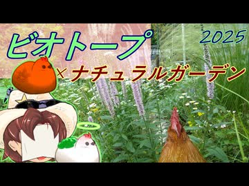 美燐空間YouTube版