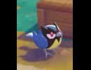 【ぽこあポケモン】ココガラとの出会い