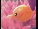 【ぽこあポケモン】ナックラーとの出会い