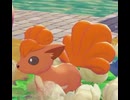 【ぽこあポケモン】ロコンとの出会い