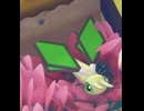 【ぽこあポケモン】ビブラーバとの出会い