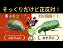 カナブンとコガネムシ、実は全然違う虫だった【ずんだもん解説】