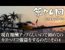 【GTAオンライン】 第74回 現在報酬アップらしいので初めてのカヨペリコ強盗をするのだ！その４（ジェットカット版）