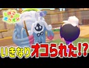 ポケモンと生活するスローライフが始まる！【ぽこあポケモン】#1