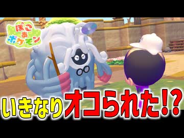 ポケモンと生活するスローライフが始まる！【ぽこあポケモン】#1