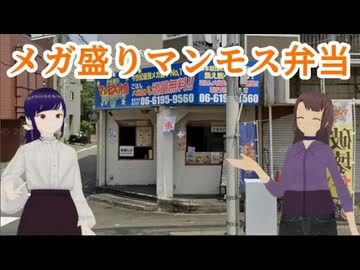 日雇さん達がウーバーでよく運ぶメガ盛りマンモスな弁当を食べてみるよ