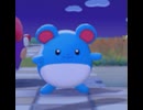【ぽこあポケモン】マリルとの出会い
