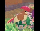 【ぽこあポケモン】ピジョンとの出会い