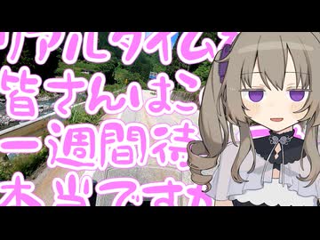 名探偵プリキュア5話見てきました、リアルタイムで見てる女児の皆さんはこの展開で一週間待ってたのか…