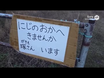 浸食を迎え入れ内児を送り出す為に境界を巡礼する