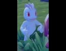 【ぽこあポケモン】ワンリキーとの出会い