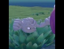 【ぽこあポケモン】イシツブテとの出会い
