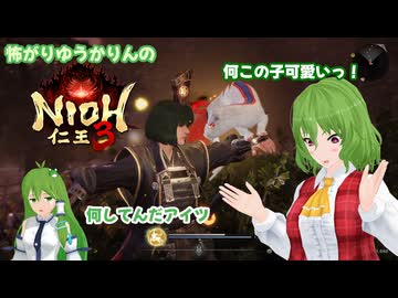 怖がりゆうかりんの仁王3　その2