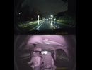 国道219号【国道219号線】自動車トラック歩行者オートバイ外国人バイク高齢者運転手バス高齢者ドライバー対向車線はみ出し脇見運転正面衝突死亡事故スマホ見ながら運転警察逮捕パトカー救急車轢き逃げ犯人逃走