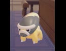 【ぽこあポケモン】タテトプスとの出会い