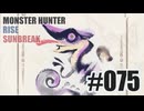 はじめてのモンハンを夜な夜な実況#075