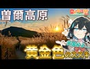 【日帰り旅行祭N2026】まるで天国！？黄金色のススキ高原｜奈良県曽爾村【宮舞モカ】