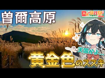 【日帰り旅行祭N2026】まるで天国！？黄金色のススキ高原｜奈良県曽爾村【宮舞モカ】