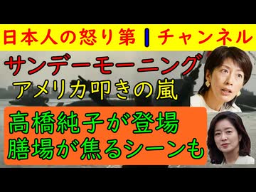 【サンモニが反米炸裂】高橋純子が登場し吠えまくるもゴリラ研究で有名な山極先生が「核シェルターを作るべき」との失言で善が貴子が露骨に嫌な顔をする大失態あり #サンモニ #tbs