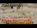 ドラクエ７リメイク　しんこうのたねの入手場所は？　魔物の岩山（過去）のアイテムの場所　＃５６８　【Reimagined】