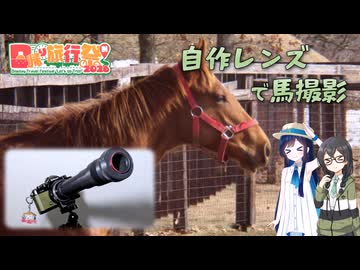 超望遠自作レンズで撮るノーザンホースパークを駆ける馬【日帰り旅行祭N2026】