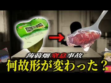 【2008】『冷凍蒟蒻ゼリー窒息』大人気商品「蒟蒻畑」は何故あの形状になったのか？過去に起きた事故と形状変更の歴史…消費者庁が設立する契機にもなった事例を解説