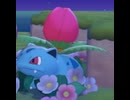 【ぽこあポケモン】フシギソウとの出会い