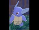 【ぽこあポケモン】カメールとの出会い