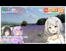 セイカとゆかりのこの辺でちょいとドライブ #17 中富良野【日帰り旅行祭N2026】