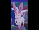 【ぽこあポケモン】ニンフィアとの出会い